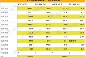 11家黄金矿企去年赚298亿 13只黄金股被公募重仓持有图片