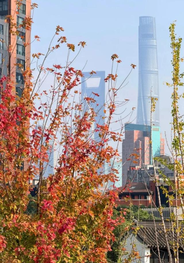 美到犯规！藏在静安深处的秋冬打卡地图上线丨静宝聊天室