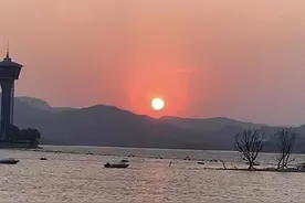 青未了|三哥图片