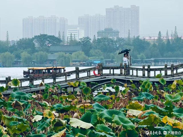 雨中漫步大明湖