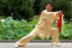 秦韵非遗丨形意六合刀张卫东：学武传艺 让中华武术更加辉煌图片