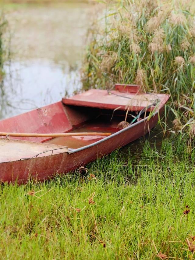 龙亭区柳园口乡 · 开封“呼伦贝尔”的秋之请柬！