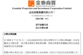 金地商置出售上海四处产业园股权，预计回款约5亿元图片