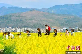 踏春赏花正当时图片