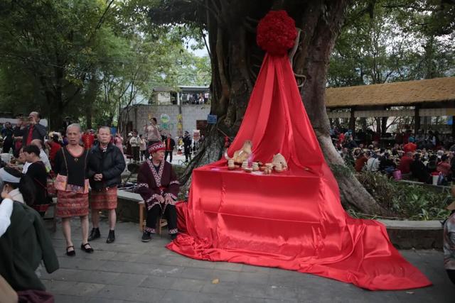 多图+视频！一起回看2025年白沙“啦奥门”雨林与您山兰文化活动精彩瞬间