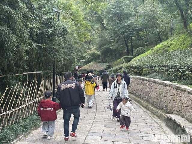 青岛竹子庵：金秋赏景正当时！