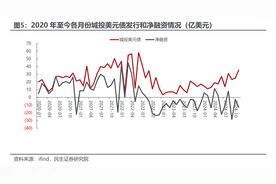 2024年城投公司境外发债“热情不减”：高利率难阻美元债发行放量，点心债“异军突起”图片