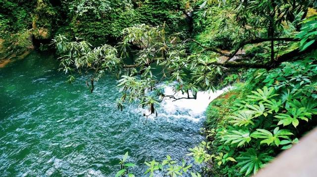 上头了！21℃的瓦屋山后劲真大！