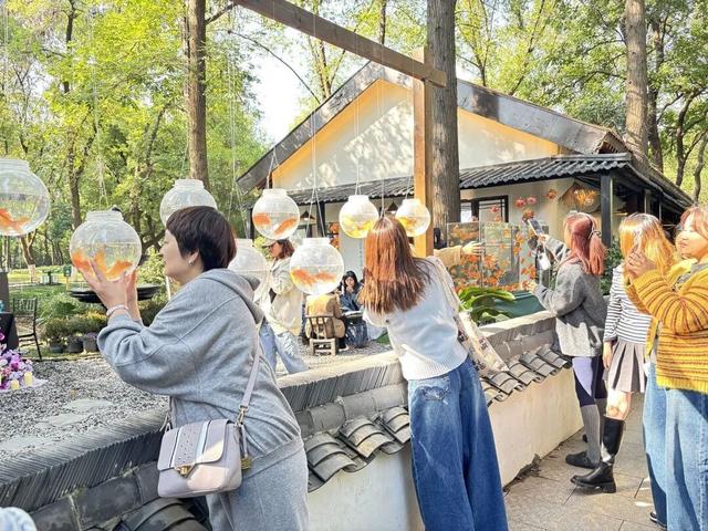 多元景观+消费新场景，武汉花式赏秋氛围感拉满