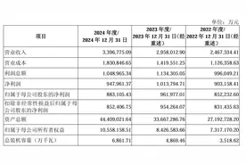 新能源巨头来了！可能是今年最容易中签的新股图片