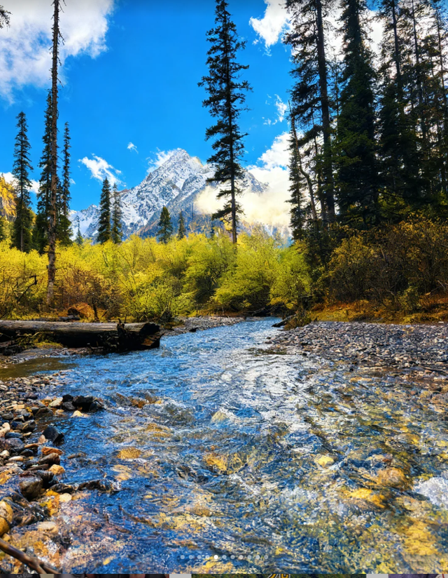 青睐绵阳 ‖ 雪山彩林上线！去平武王朗赴一场金秋视觉盛宴~