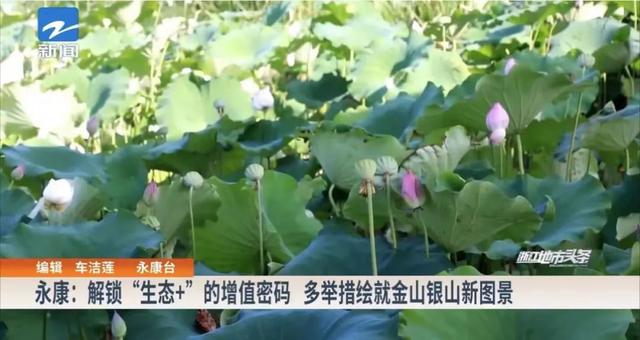 金华5条乡村休闲精品线路获全省推介