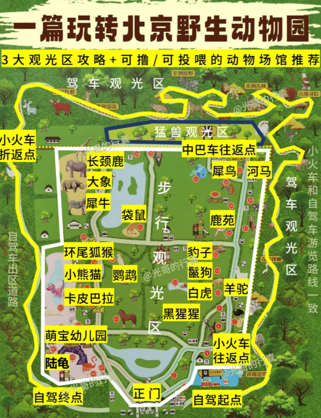 本周六！石家庄→北京野生动物园直通车正式发车