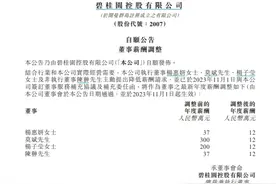 主动减薪！碧桂园4名董事行动，杨惠妍年薪12万图片