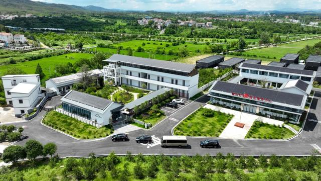湖北大悟：红色基因串起绿色产业