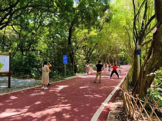 来啊，一起“躺坪”！增城「露营公园」指南→
