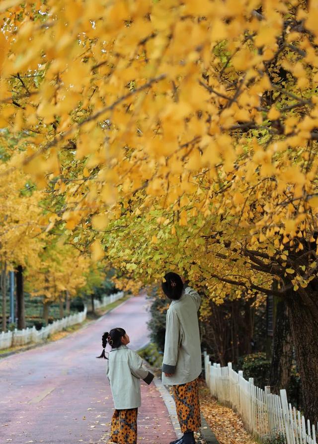 茶山美宿，安逸悠闲的秋假攻略请收好~