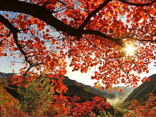 北京号最精彩｜国庆假期将至，京城这些特色文旅活动抢先看