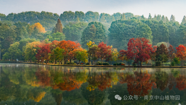 周末，去“捡秋”！