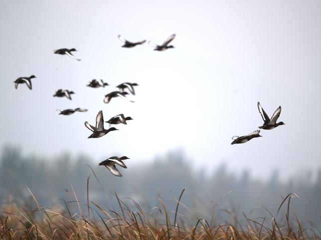 北京日报社区小板报 | 今又重阳！“福利”不重样——