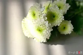 确诊不到1年，26岁渐冻症女生去世，蔡磊回应：十分痛心图片