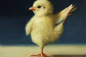 我是娘梦里的小黄鸡图片