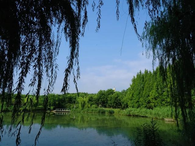热到融化？来这里立刻降温5℃！