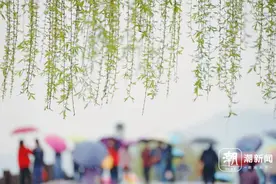 浙江的春天迟到了，不过好天气将持续到周末，打卡“花花季节”吧图片