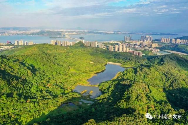 草莓音乐节“十一”开唱！最全攻略请查收→