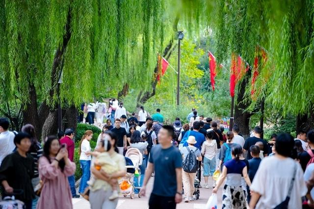 济南野生动物世界迎来客流高峰，用心服务让每位游客游玩舒心