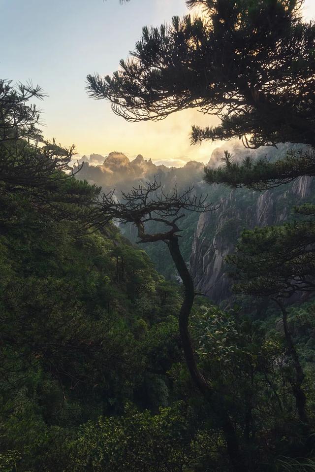 在江西，拾得江南的半阙秋声