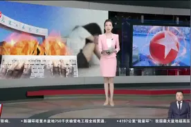 “开除”就能“消除”影响？探涉外舆情处理边界图片