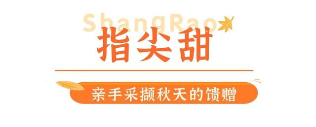 全城甜蜜！上饶的秋日甜到你心间
