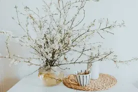 清茶慰岁月，静坐听时光图片