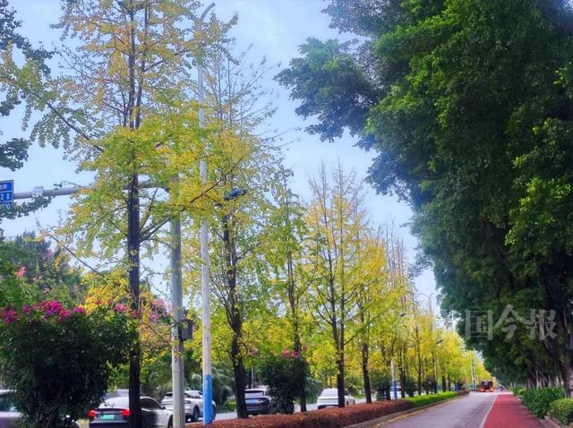 柳州近期涌现了多个网红点，去没去过都看过来！