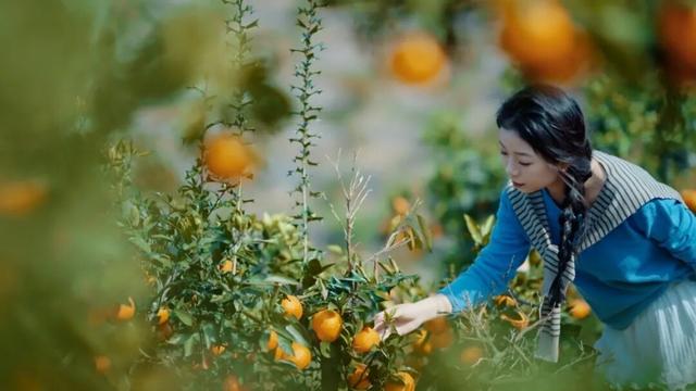 组个“橘” “宜”起“都”来解锁新乐趣→