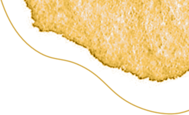 黄河一号旅游公路：千里风景廊道解锁文旅新体验