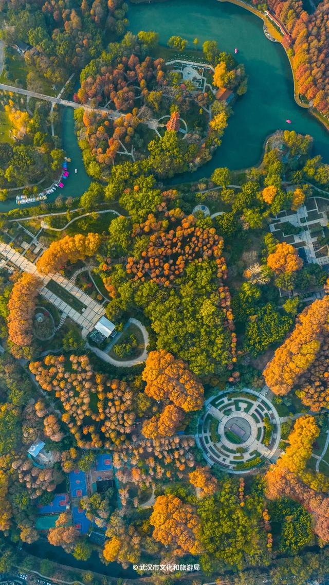 最新发现！2公里“金色隧道”，武汉人私藏了60年！