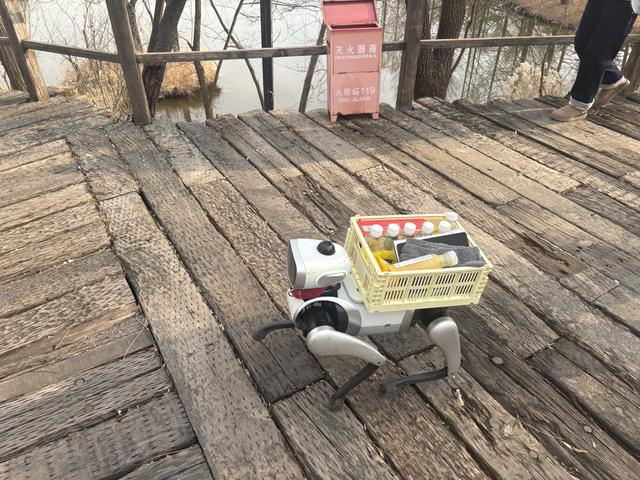 万元级消费机器狗走到家门口，真正的考验才刚开始