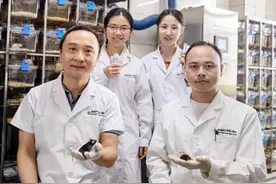 肠道菌群失调导致脑病？中国科学家首次揭示肝性脑病 “幕后黑手”图片