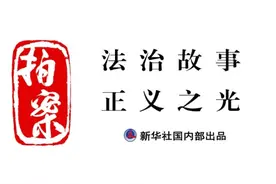 拍案丨反家暴！用好“人身安全保护令”这一法律武器图片