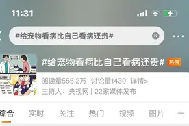 动辄几千上万元 宠物看病为何比人贵？图片