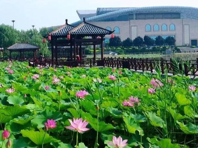 用“多巴胺”配色，打开曲沃的秋天！