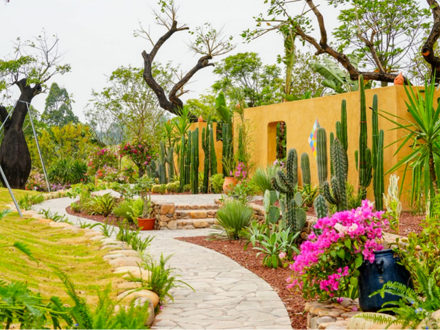 藏不住了！马岭千亩花海美成童话，福利门票免费送~