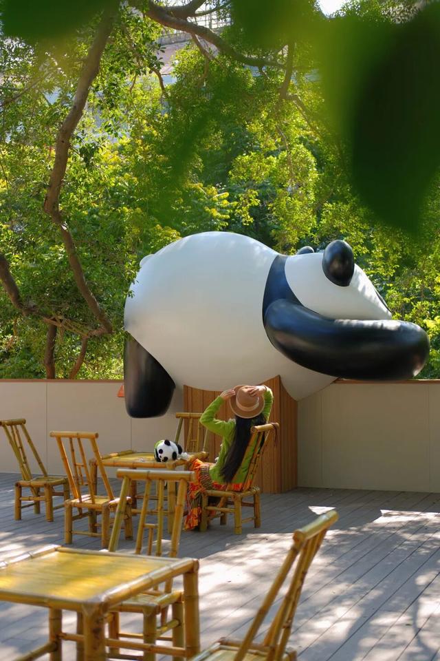 欢迎来到熊猫的家！保姆级攻略请收好！