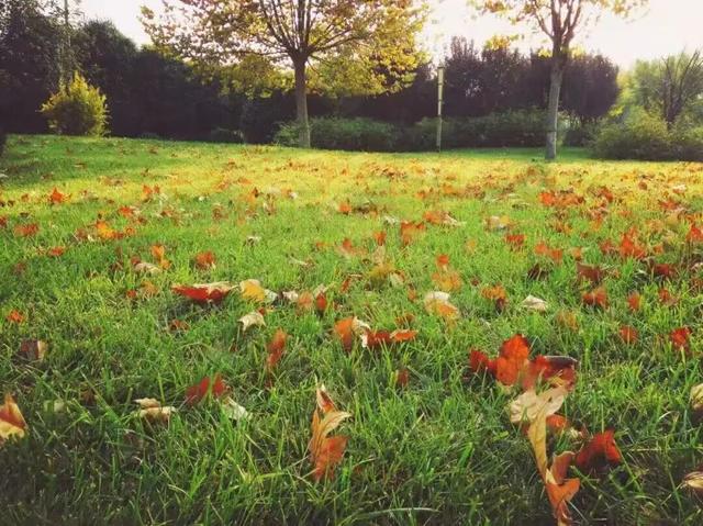 谁说冬天只有黑白？这抹彩色绚烂得不讲道理