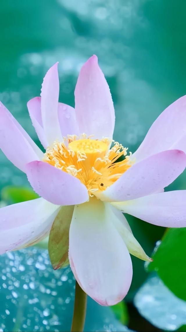 防城港壁纸上新！速来查收→