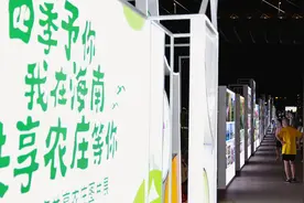 2024海南共享农庄图片展闪耀海口观海步道图片