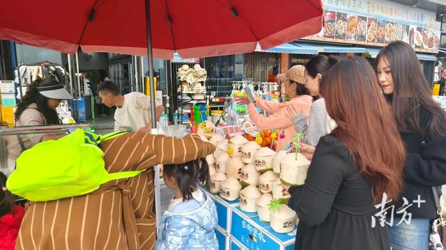 破壁融合，汕尾金町湾的“热闹”与“门道”