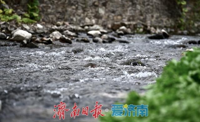 一年四季 泉在济南丨秋染南山 溪流更显清幽